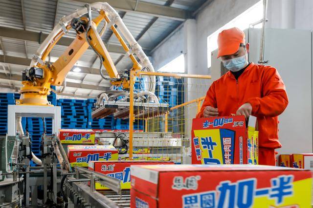 武陟縣：春節熱銷季 食品廠忙碌搶生產迎“開門紅”:鋼板樁生產廠
